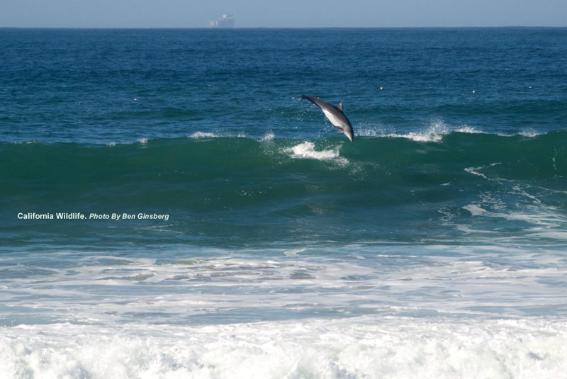 BGinsberg_2009-11-08_JamalaBeach_027_LR