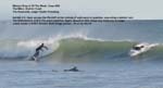 November 4-2009 BLATANT DROP-2