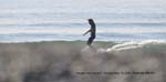Ralph 5-19-09 Surf 32