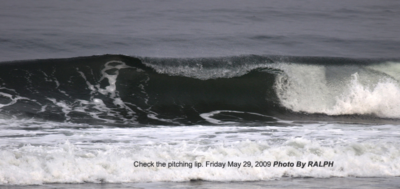 Ralph Friday May 29-2009 21