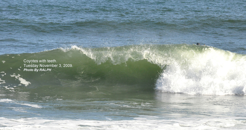 Nov 3-2009 20