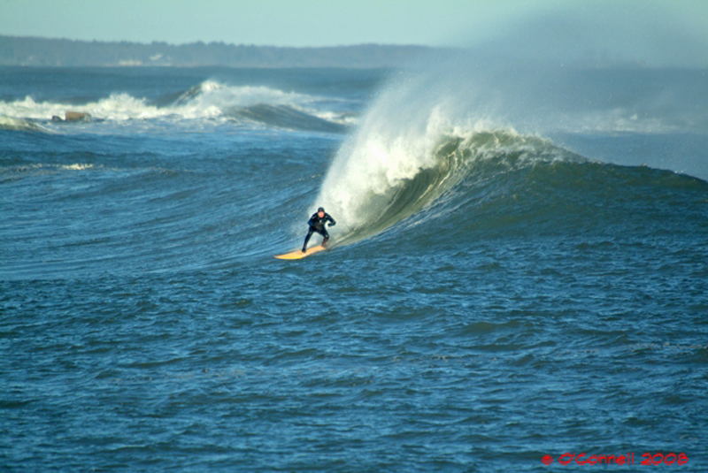 Feb 2008 Lenny Nichols by Ed O'Connell