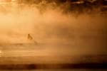 Sea Smoke2 Brian Nevins photo January 2009