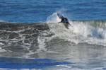 BGinsberg_2010-01-14_KatinProAm_001_LR_RickyWhitlock