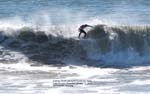BGinsberg_2010-01-14_KatinProAm_019_LR_AndrewGesler