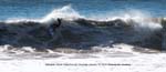 BGinsberg_2010-01-14_KatinProAm_021_LR_NathanielCurran