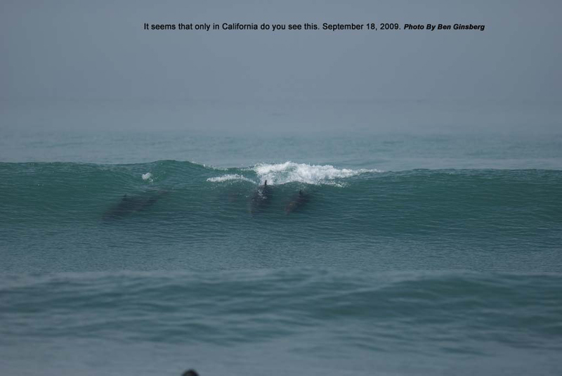 BGinsberg_2009-09-18_HurleyPro_Trestles_08_dolphinsurf_LR