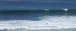 BGinsberg_2010-03-24_3