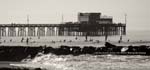 BGinsberg_2010-02-16_-8
