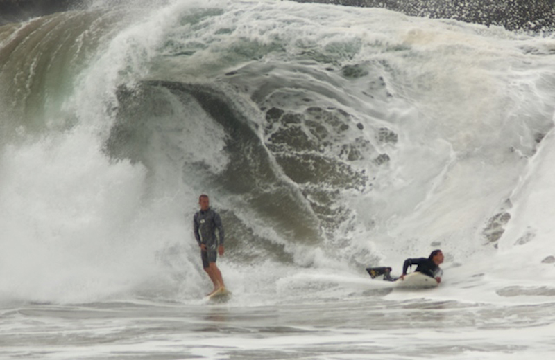 BGinsberg_2009_07-24_The Wedge_010_LR