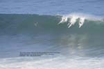 Bernie Bay 12-09 4