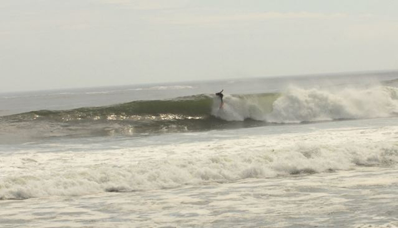 Ginger Nelson Kellar Hurricane BILL 1