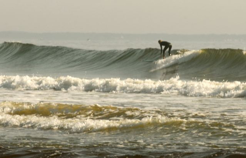 Ginger Nelson Kellar Hurricane BILL 14