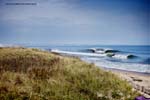 Nevins Oct 20-2009 3