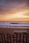 Nevins Oct 20-2009 5