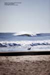 Nevins Oct 20-2009 8