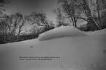 Nevins Japan Jan-10 by Joe Curran 1