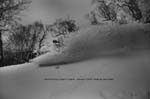 Nevins Japan Jan-10 by Joe Curran 2