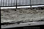 Feb26-2010 6