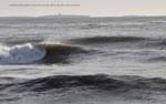 March 16-2010 10