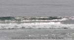Ralph May 15-2009 wave
