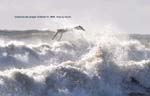 Nor'easter 10-17-09 23