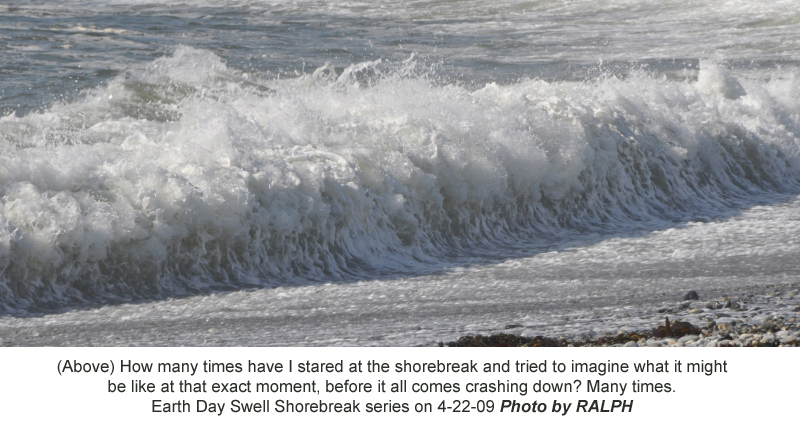 Ralph-ShoreBreak Series 1