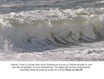Ralph-ShoreBreak Series 2