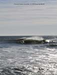 November 16-2009 10