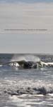 November 16-2009 11