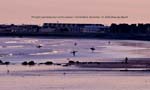 November 16-2009 44