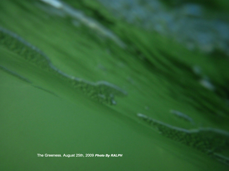 RALPH Water Shot August 25-2009 4