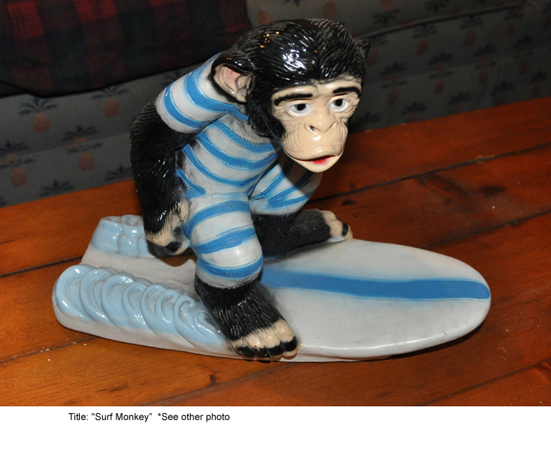 SurfMonkey1