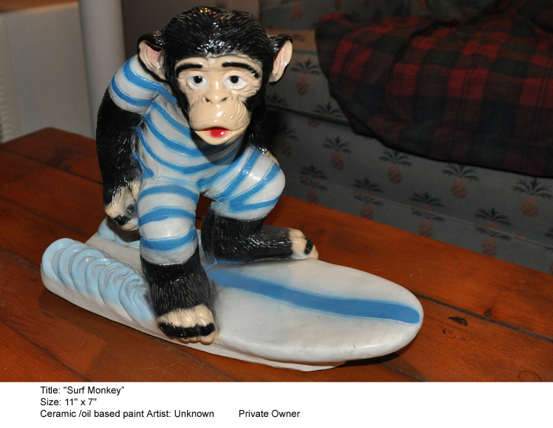 SurfMonkey2