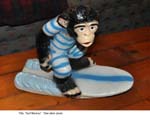 SurfMonkey1