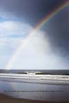 Rainbow NH1