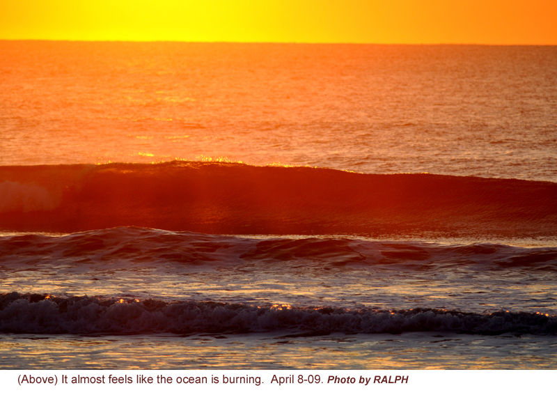 Ralph Sunrise Wall 4-8-09 13